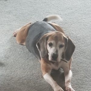 Meet your Posher, Rick